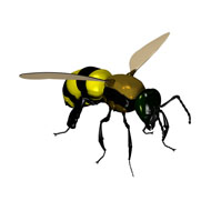 Bee