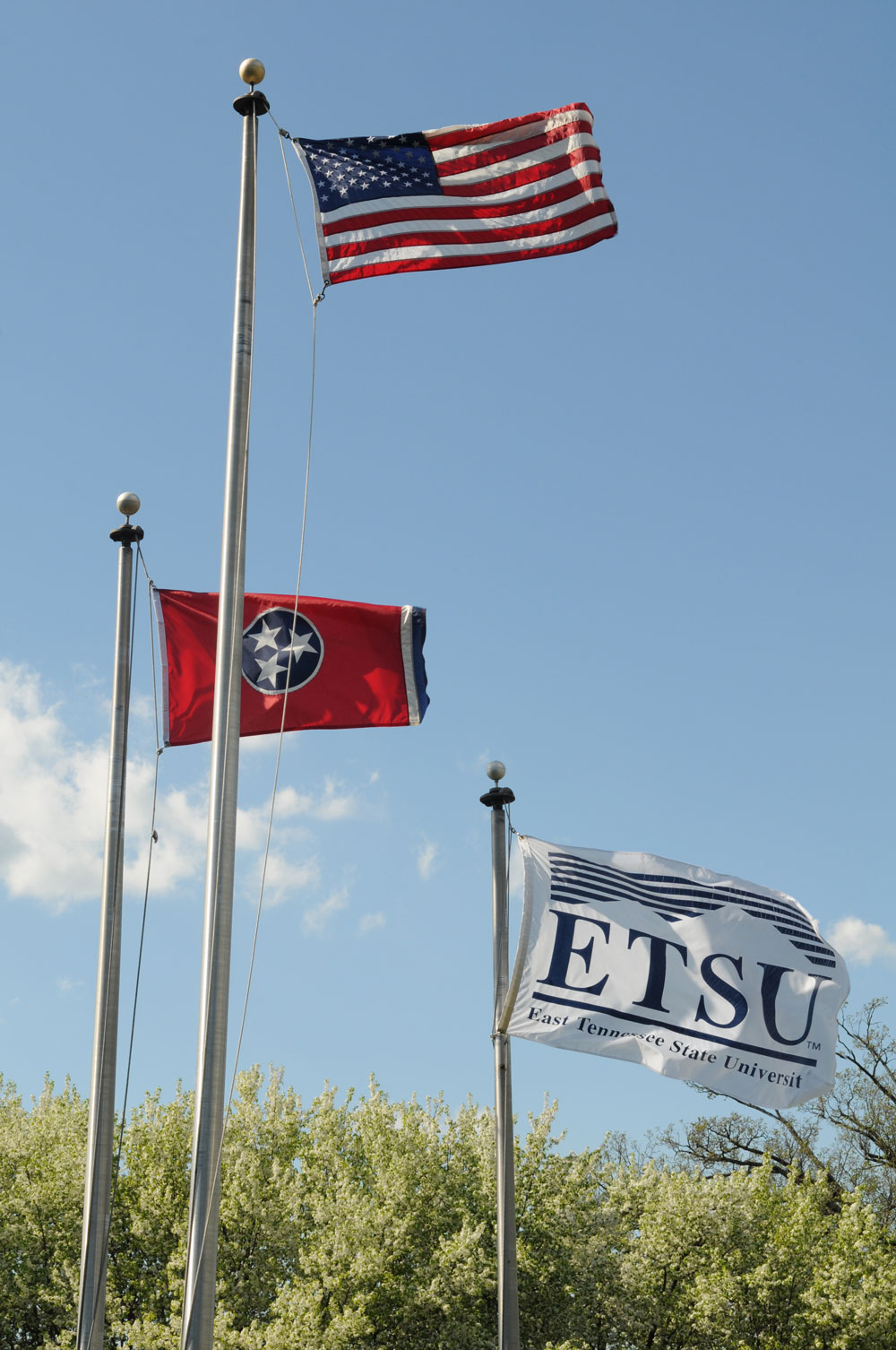 Flags