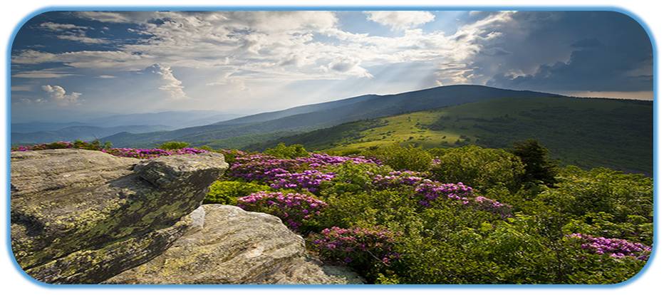 ROAN MOUNTAIN STATE PARK