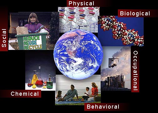 Environmental Health