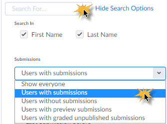 Image of the submission view options for a dropbox