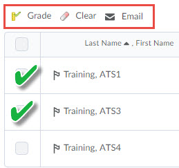 Image of the Grade Item Action buttons (grade, clear, email).