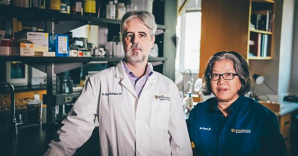 image for ETSU researchers exploring treatments for loss of smell