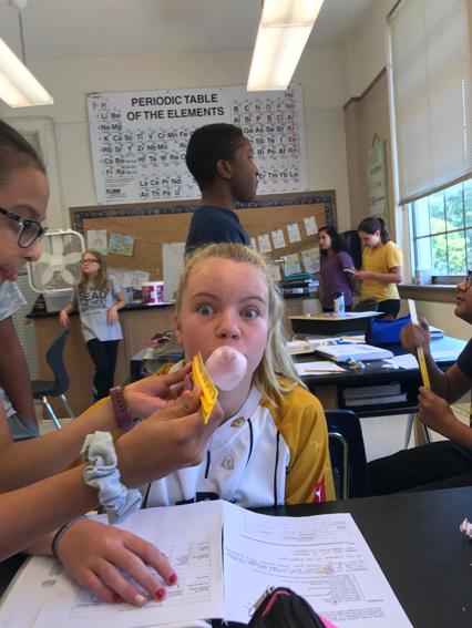 2019-2020 Seventh Grade Bubble Gum Lab