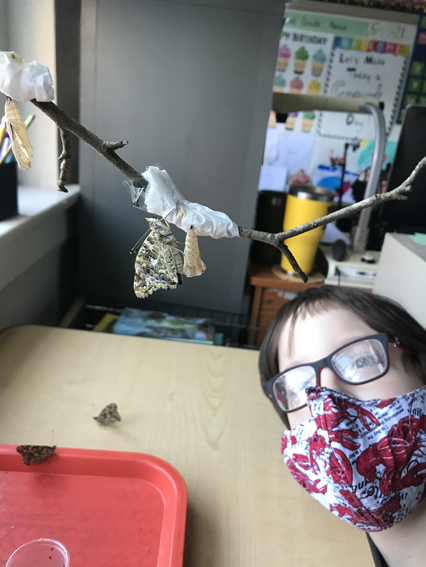 2nd Grade Butterflies 2020-2021