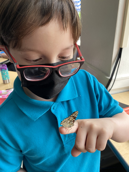 2nd Grade Butterflies 2020-2021