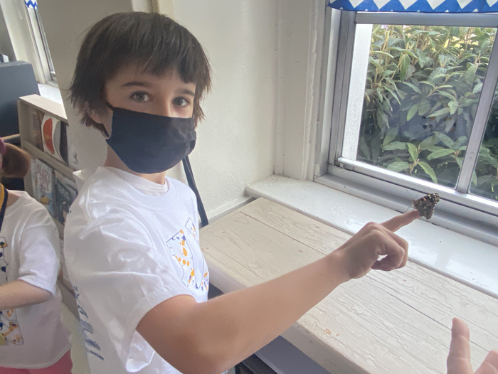 2nd Grade Butterflies 2020-2021