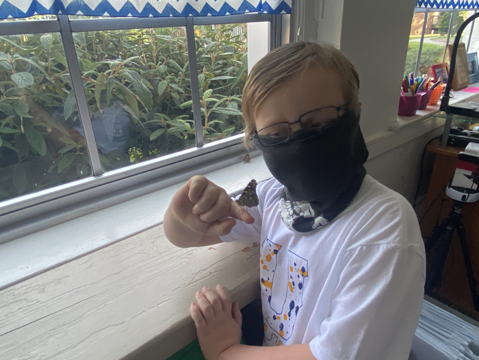 2nd Grade Butterflies 2020-2021