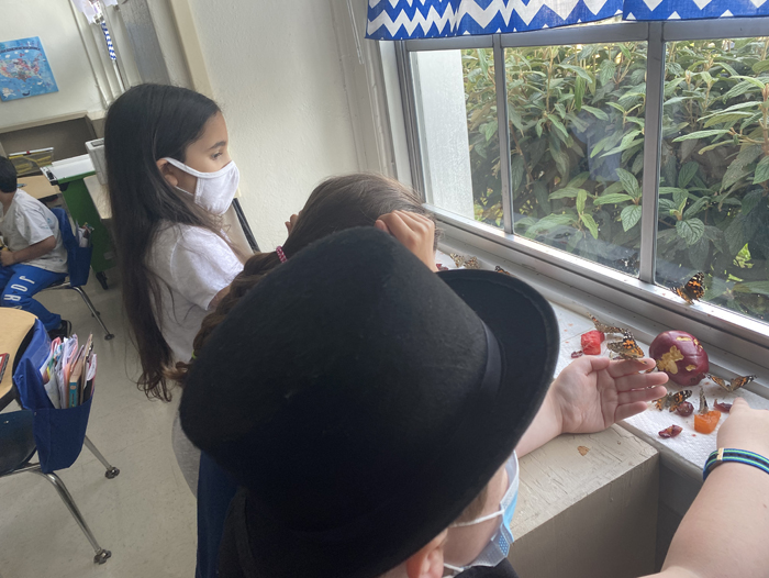 2nd Grade Butterflies 2020-2021