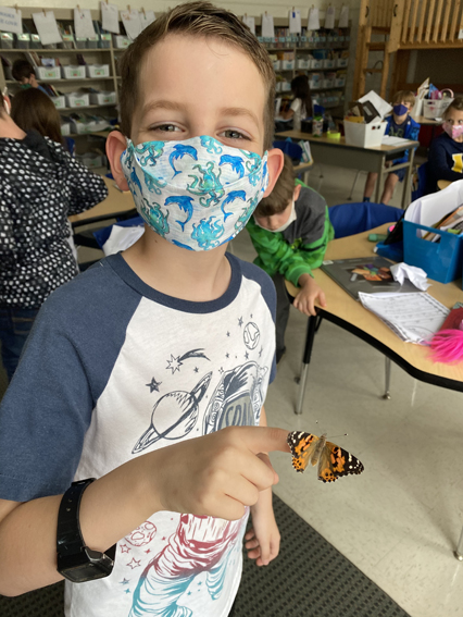 2nd Grade Butterflies 2020-2021