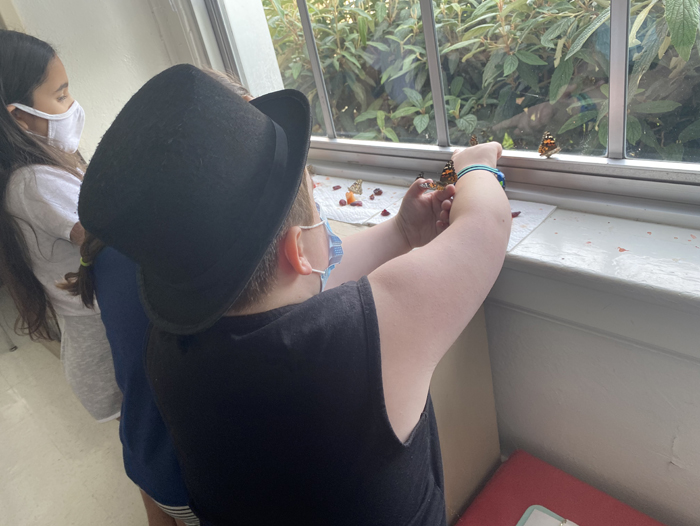 2nd Grade Butterflies 2020-2021