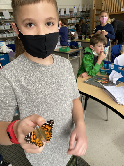 2nd Grade Butterflies 2020-2021