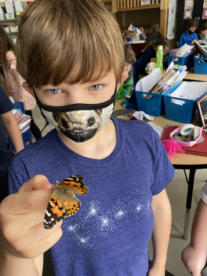 2nd Grade Butterflies 2020-2021