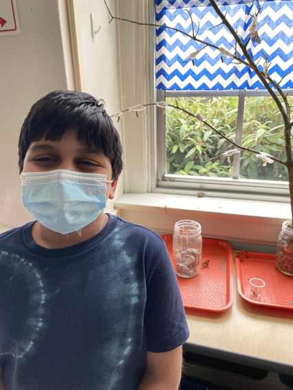 2nd Grade Butterflies 2020-2021