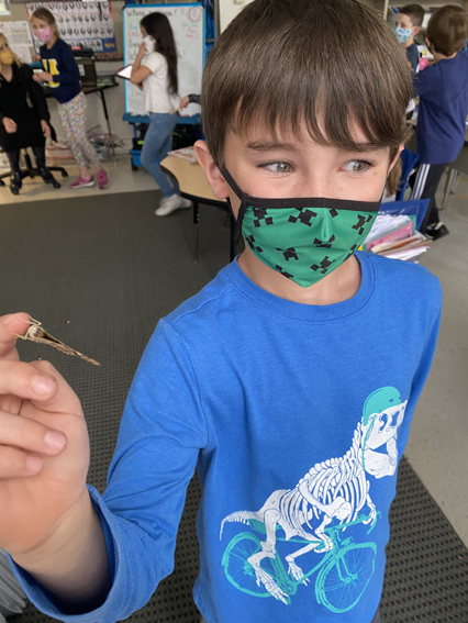 2nd Grade Butterflies 2020-2021