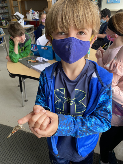 2nd Grade Butterflies 2020-2021