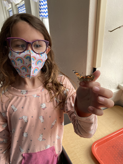 2nd Grade Butterflies 2020-2021