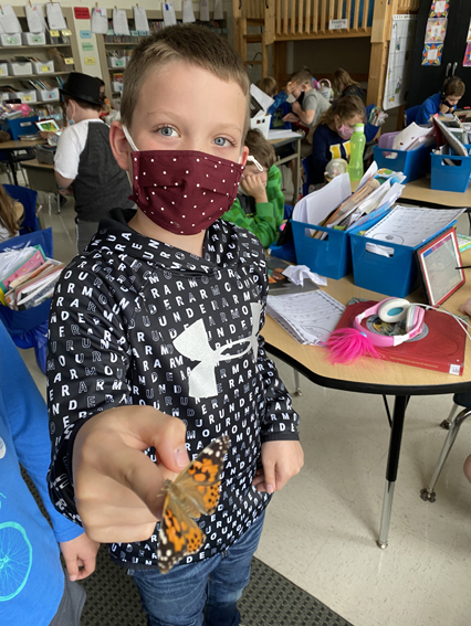 2nd Grade Butterflies 2020-2021