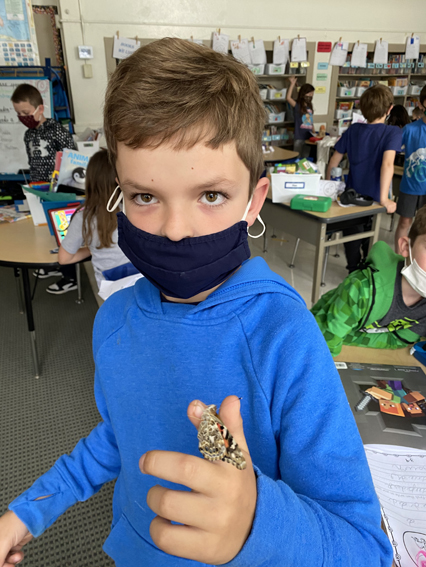 2nd Grade Butterflies 2020-2021