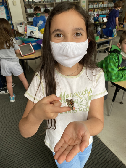 2nd Grade Butterflies 2020-2021