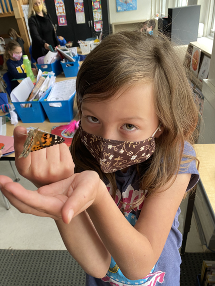 2nd Grade Butterflies 2020-2021