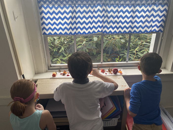 2nd Grade Butterflies 2020-2021