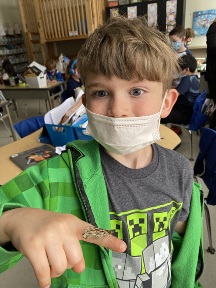 2nd Grade Butterflies 2020-2021