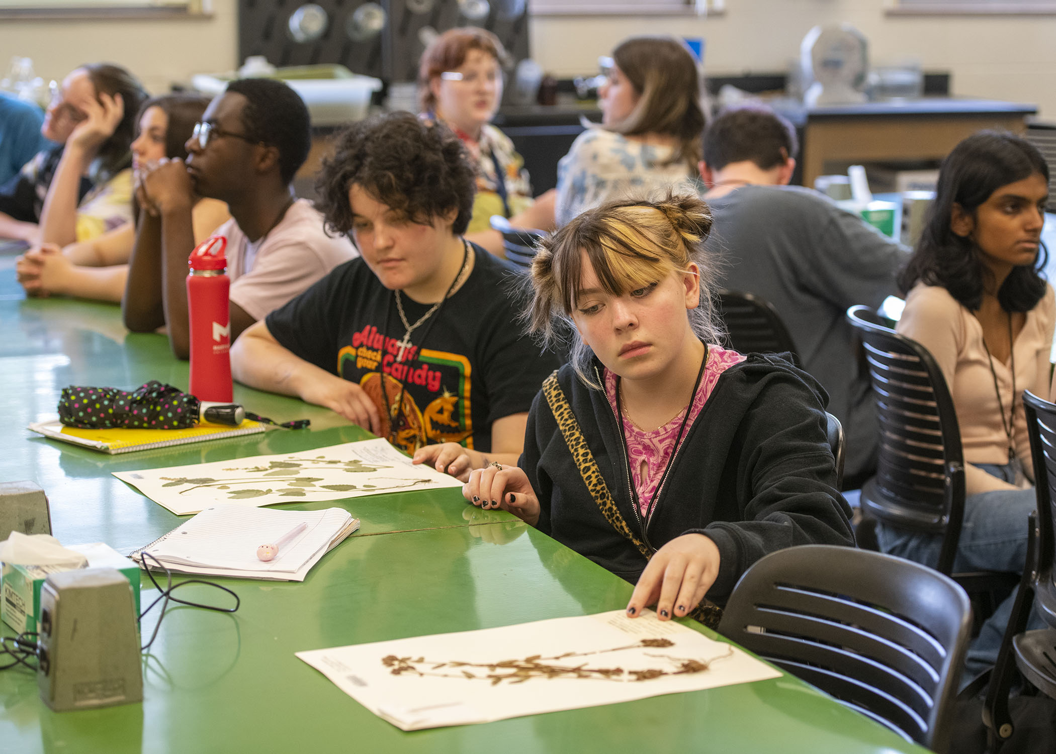 Young Writers Workshop students engage with materials from the Herbarium.