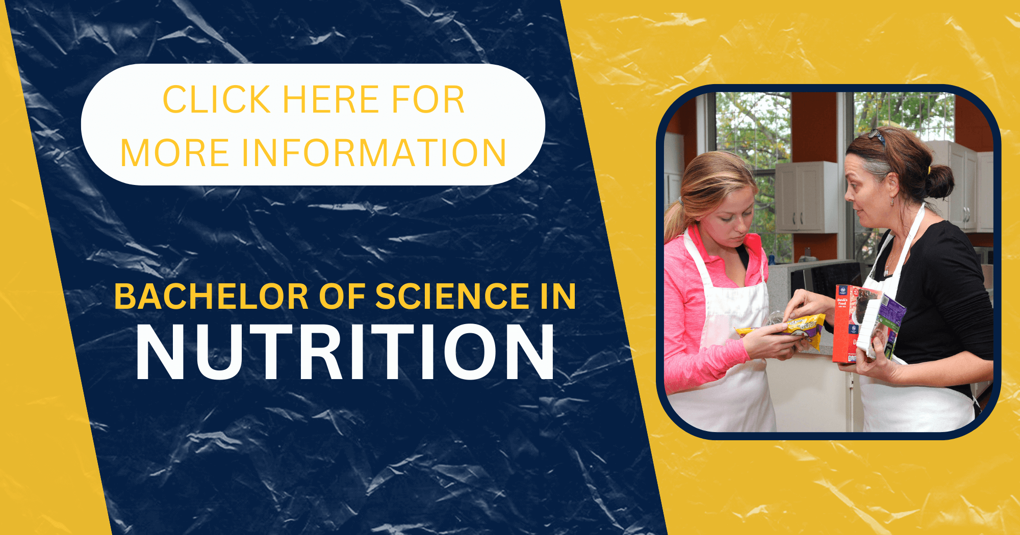 Bachelor of Science in Nutrition