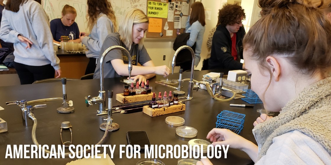 American Society for Microbiology students working in a lab