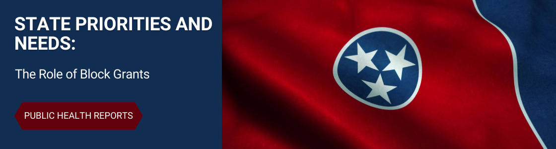 State priorities and needs: The role of block grants