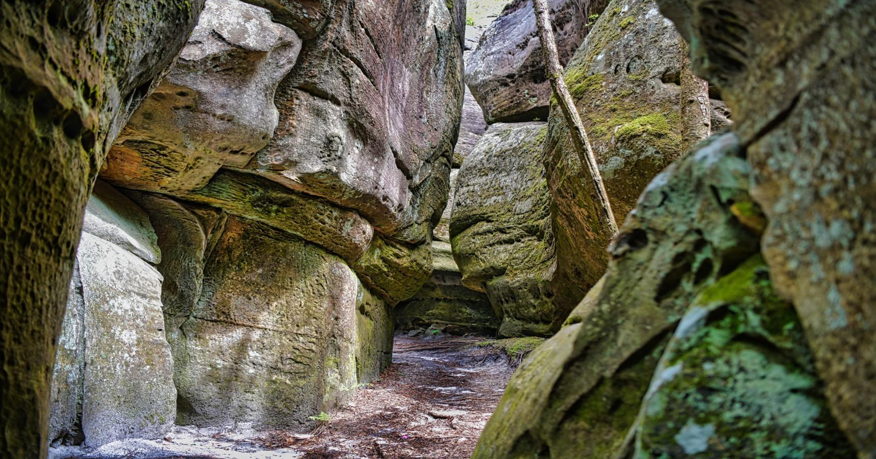 A view of one of the rock walled slot passages found on top of Clinch Mountain in the Channels.
