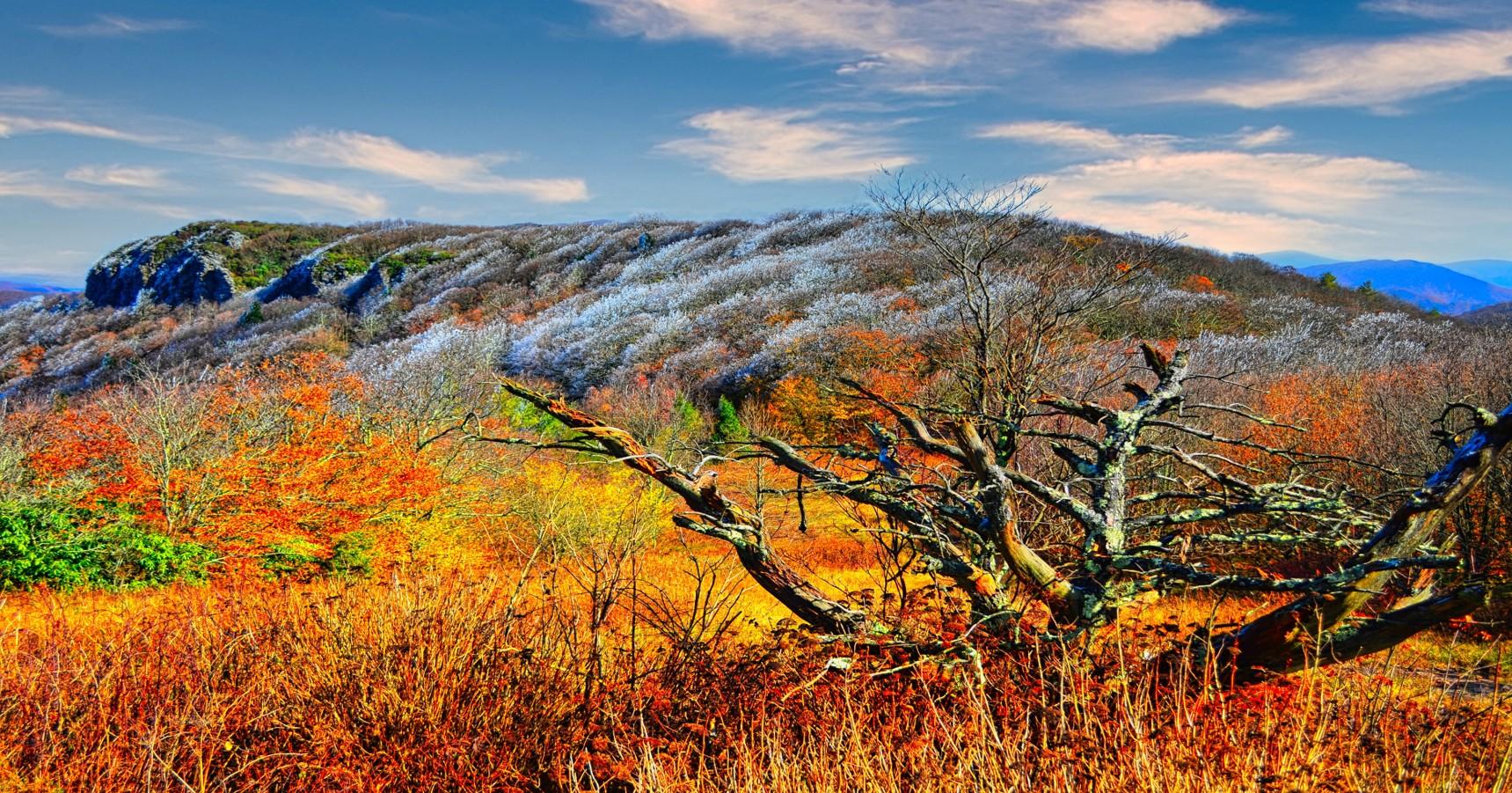 Viking mountain on a fall day showing lots of orange leaf colors in the tree leaves. There is also rime ice on the trees from the cold damp fog of the night before. Blackstack Cliffs are in the distance.