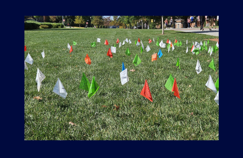 Several small flags planted in the grass by the Culp Center are designed to raise awareness for suicide prevention.