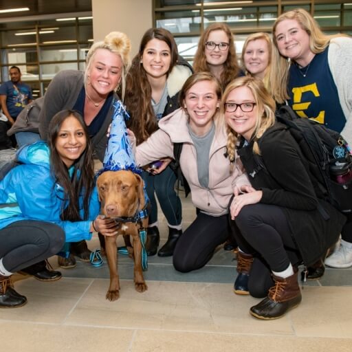 Admitted students with service dog