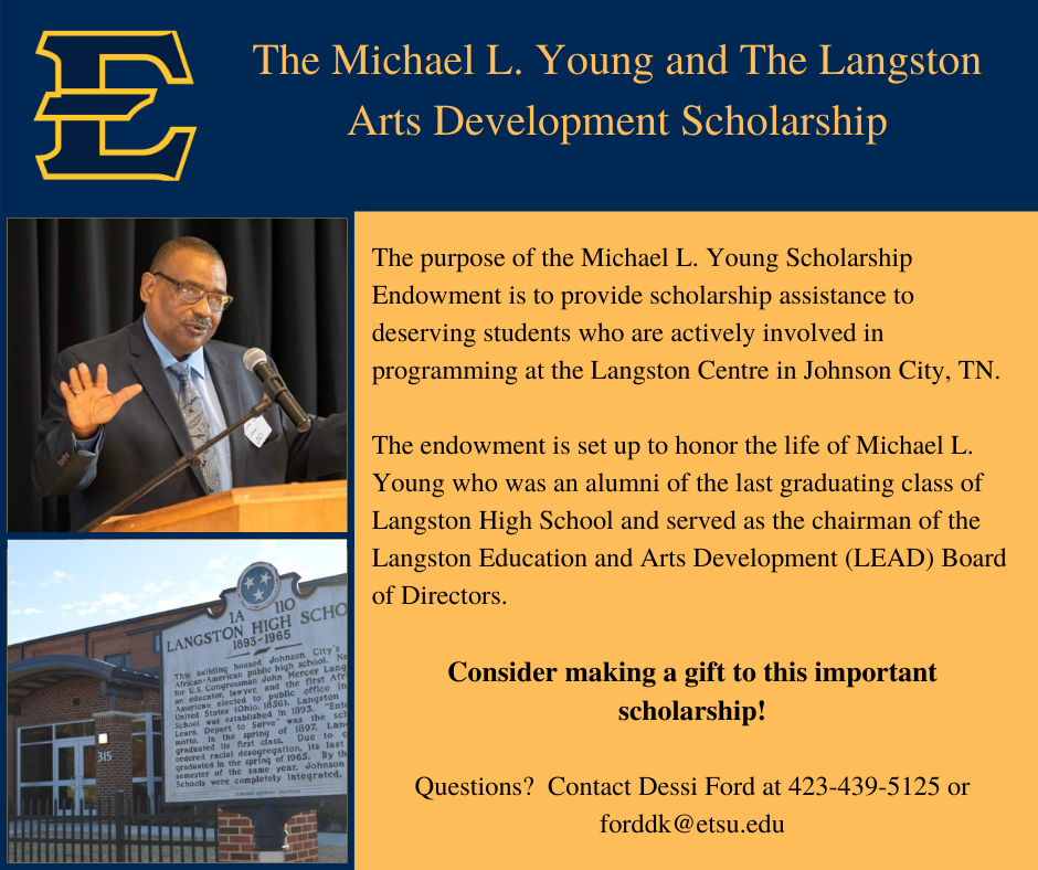 Michael Young Scholarship information