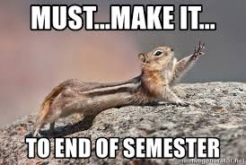 Chipmunk dramatically saying, "Must make it to end of semester."