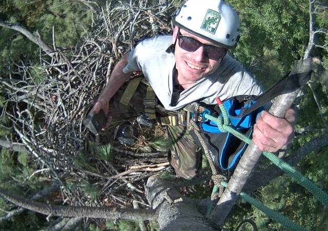 Brandon Bragg, expert tree climber