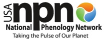 NPN Logo
