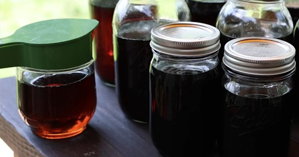 image for Appalachian Foodways Series: Maple Syrup