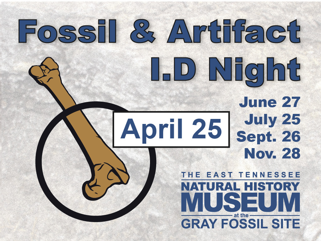 Dates For Fossil ID Night