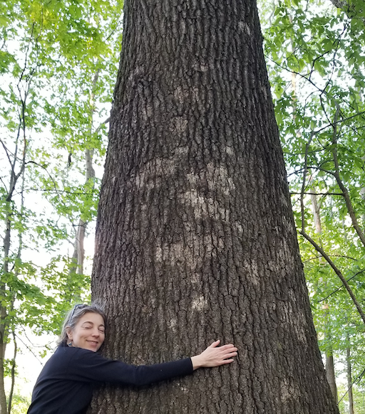 Amy Wright Hugging a Large Tree