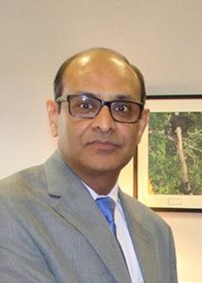 Photo of Alok Agrawal, PhD Professor