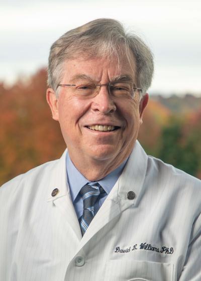Photo of David L. Williams, PhD Professor