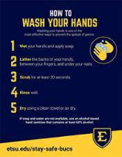 How to Wash Your Hands Flyer 8.5x11 (2D)