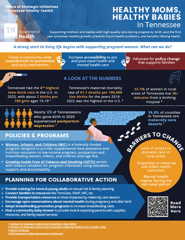 Healthy Moms, Healthy Babies One Pager snapshot