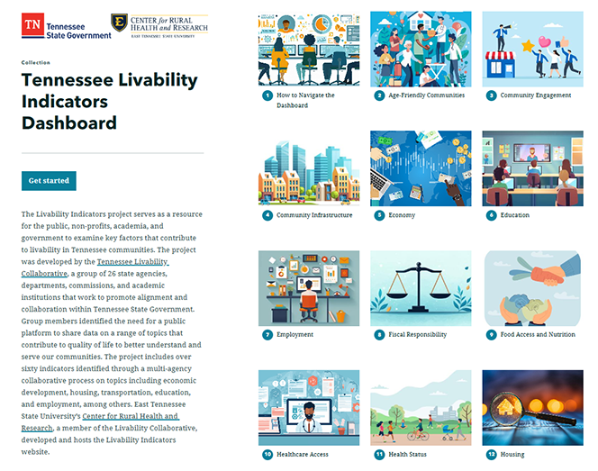 Livability Dashboard Snapshot