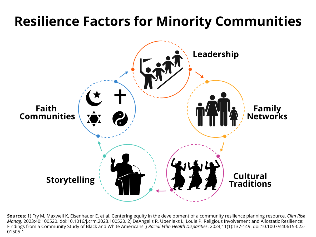 Graphic showing listed resilience factors for minorities
