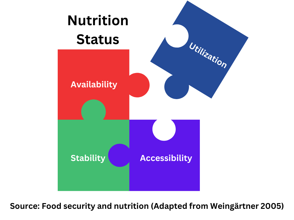 Nutrition status shown as four brightly-colored puzzle pieces
