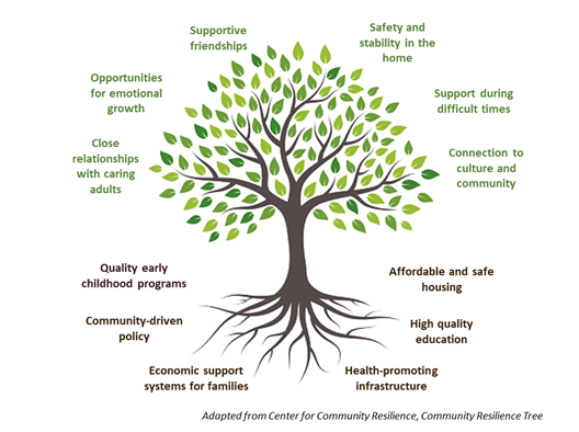 Community Resilience Tree graphic